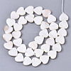 Natural Freshwater Shell Beads Strands SHEL-N026-51A-01-2