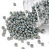 TOHO 6/0 Round Beads SEED-TR06-PF0565-1