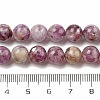 Natural Lepidolite/Purple Mica Stone Beads Strands G-G160-A01-01-5