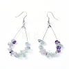 Dangle Earrings EJEW-E255-B20-1