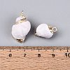 Electroplate Natural Sea Shell Pendants BSHE-Q020-02-4