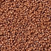 MIYUKI Delica Beads SEED-MY11-DB2107-3