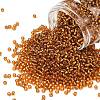 TOHO 8/0 Round Beads X-SEED-TR08-0022C-1