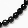 Natural Obsidian Round Beads Strands G-L275-03-10mm-01-1