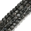 Natural Larvikite Beads Strands G-E571-A09-04-1