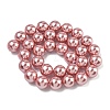 Electroplated Shell Pearl Beads Strands BSHE-G041-12mm-05-4