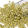 6/0 Glass Seed Beads X1-SEED-A017-4mm-1113-1