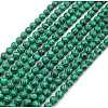 Imported Synthetic Malachite Round Beads Strands G-A130-2mm-J01-2