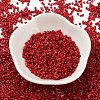 Baking Paint Glass Seed Beads X-SEED-S042-05B-89-2