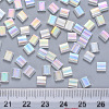 2-Hole Transparent Glass Seed Beads SEED-S031-L-250-3