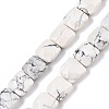 Natural Howlite Beads Strands G-T138-157-4