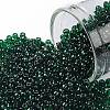 TOHO 11/0 Round Beads X-SEED-TR11-0939-1