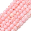 Dyed Natural Freshwater Shell Beads Strands SH-CBA2978-07B-01-1