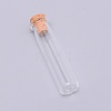 Glass Bottle CON-WH0078-01-1