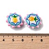 Baking Paint Glass Enamel Beads LAMP-K039-34F-4