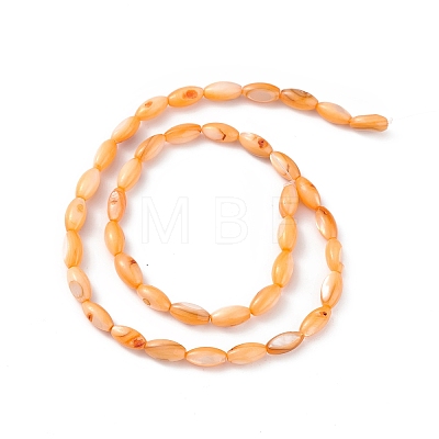 Natural Freshwater Shell Dyed Beads Strands SHEL-M018-13-08-1