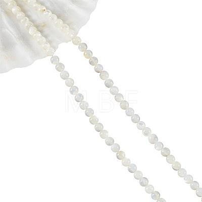 Natural White Shell Beads Strands SHEL-WH0001-007-1