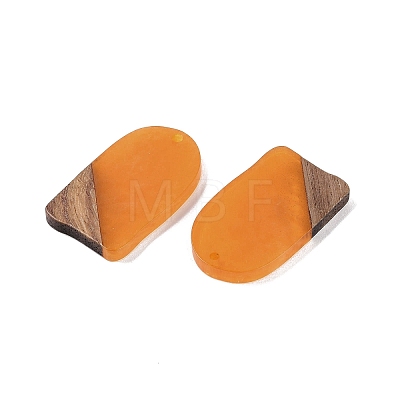 Resin & Wood Pendants WOOD-F015-13E-1