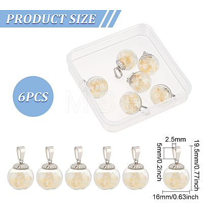 6Pcs Transparent Globe Glass Bubble Cover Pendants G-FG0001-06-1