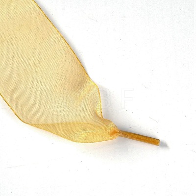 Flat Transparency Polyester Chiffon Shoelaces DIY-WH0265-04J-1
