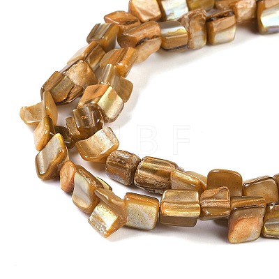 Dyed Natural Freshwater Shell Beads Strands SHEL-P016-01A-1