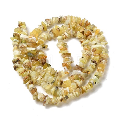 Natural Yellow Opal Chip Beads Strands G-G905-15-1