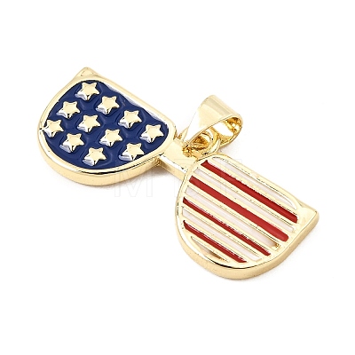 Alloy Enamel Pendants AL-CBAC8B4-03B-G-1