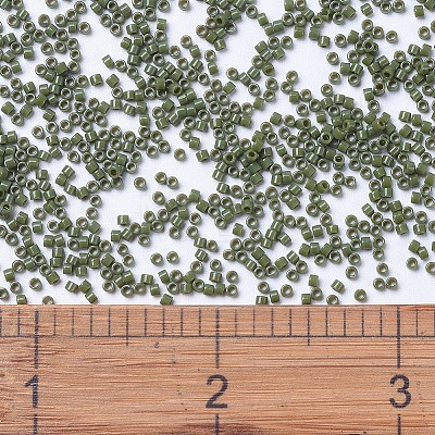 MIYUKI Delica Beads LS-X-SEED-J020-DB1135-1