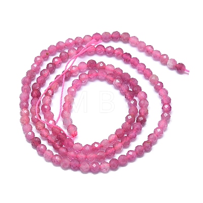 Natural Tourmaline Beads Strands G-G106-C02-02-1