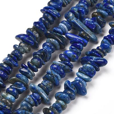 Natural Lapis Lazuli Chip Bead Strands G-M205-14-1