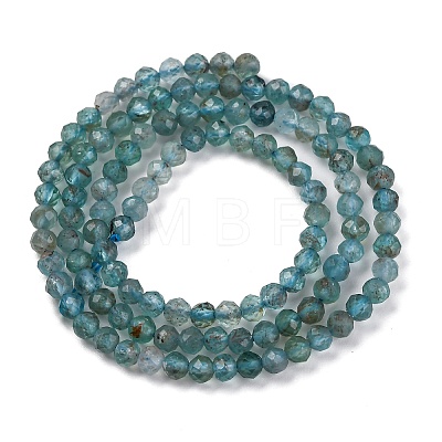 Natural Apatite Beads Strands G-F748-J01-02A-1