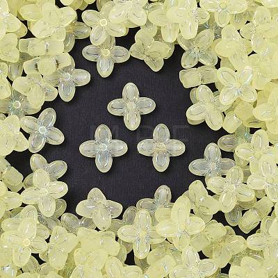 Frosted Transparent Acrylic Beads OACR-P029-09B-03-1