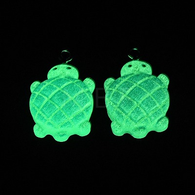 Gradient Color & Luminous Opaque Resin Pendants RESI-S011-01A-1