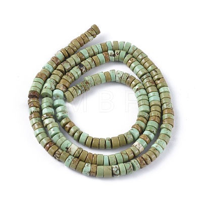 Natural Howlite Beads Strands X-TURQ-L030-04A-02-1