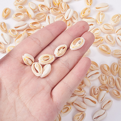 Natural Mixed Cowrie Shell Beads BSHE-CJ0001-01-1