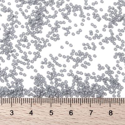 MIYUKI Round Rocailles Beads X-SEED-G009-RR0498-1