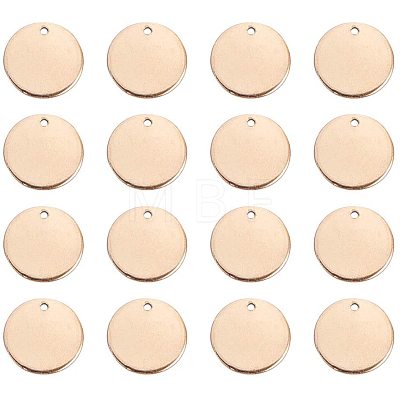 304 Stainless Steel Charms STAS-PH0018-45G-1