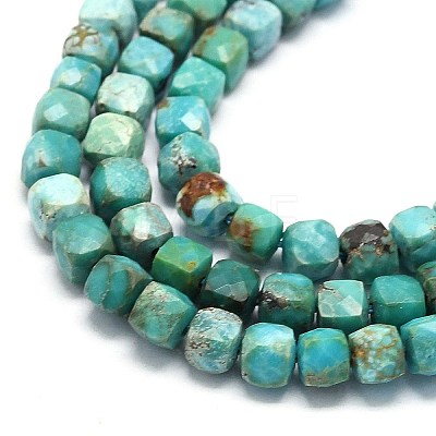 Natural HuBei Turquoise Beads Strands G-G106-G01-01-1