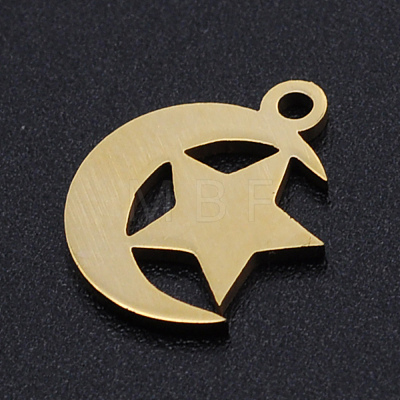 201 Stainless Steel Laser Cut Charms STAS-S105-T913-2-1