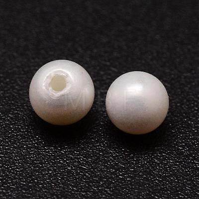 Shell Pearl Beads BSHE-L031-01-3mm-1