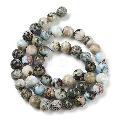 Natural Larimar Beads Strands G-P524-A02-03-1
