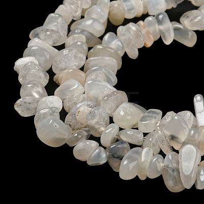 Natural Moonstone Beads Strands G-G0003-B42-1