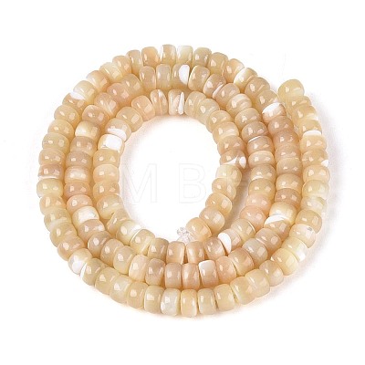 Natural Trochid Shell/Trochus Shell Beads Strands BSHE-T014-54B-1