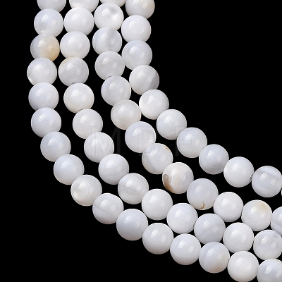 Natural Freshwater Shell Beads Strands SH-CBA2978-07D-03-1