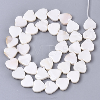 Natural Freshwater Shell Beads Strands SHEL-N026-51A-01-1