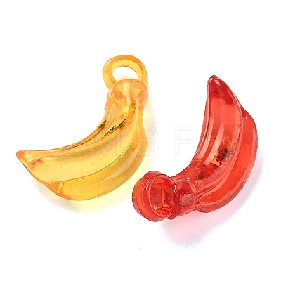 Transparent Acrylic Pendants OACR-Z037-05-1