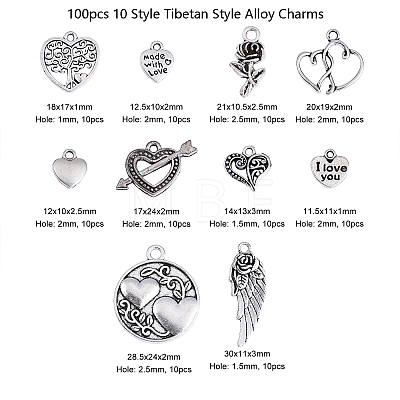 100pcs 10 Style Tibetan Style Alloy Charms TIBEP-CJ0001-37-1