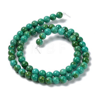 Natural Howlite Beads Strands G-E604-B05-A-1
