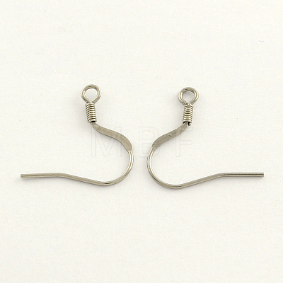 304 Stainless Steel French Earring Hooks STAS-R063-31-1