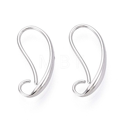 304 Stainless Steel Earring Hooks STAS-N108-29P-1